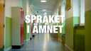 Språket i ämnet