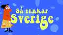 Så funkar Sverige
