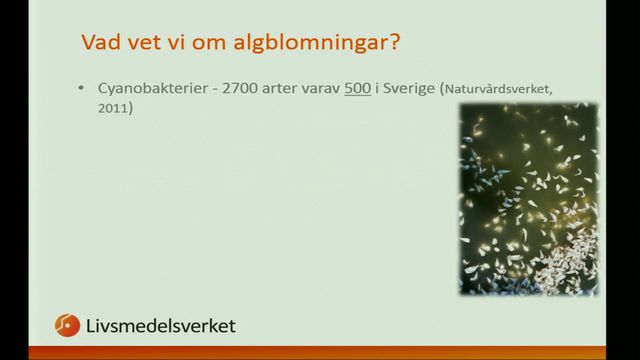 UR Samtiden - Nationella dricksvattenkonferensen 2017 : Toxisk algblomning i Sverige