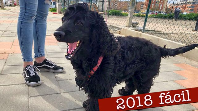 ¿Qué Pasa? fácil : 2018-03-10