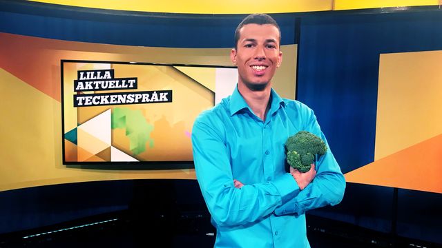 Lilla Aktuellt teckenspråk