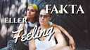 Fakta eller feeling