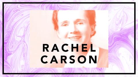Rachel Carson - när fåglarna tystnar