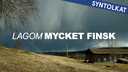 Lagom mycket finsk - syntolkat