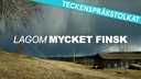 Lagom mycket finsk - teckenspråkstolkat