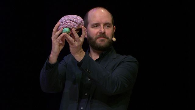 UR Samtiden - Schizofrenidagen 2018 : Schizofreni och hjärnans byggstenar