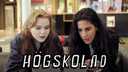 Högskolad