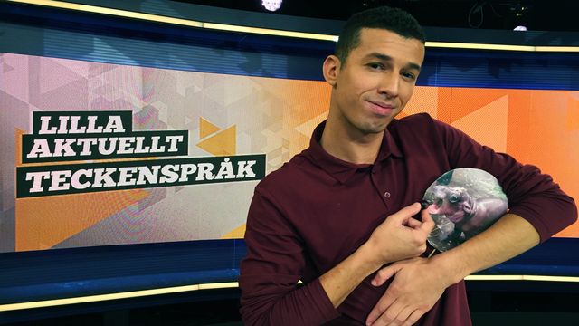 Lilla Aktuellt teckenspråk : 2018-09-07