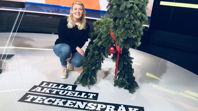 Lilla Aktuellt teckenspråk : 2018-12-07