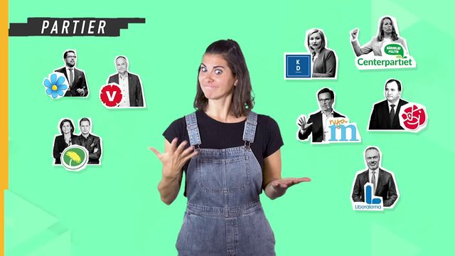 Lilla Aktuellt teckenspråk - Valet : Partier i riksdagen idag