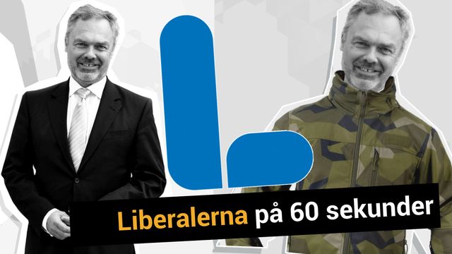 Lilla Aktuellt teckenspråk - Valet : Liberalerna