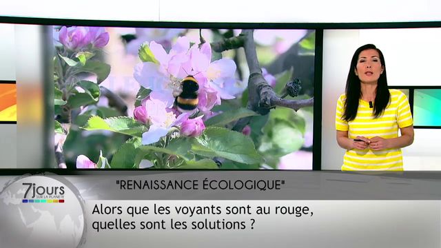 7 jours sur la planète : 2019-05-18