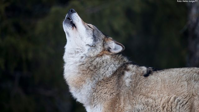 Nachrichten auf Deutsch : 2019-03-30