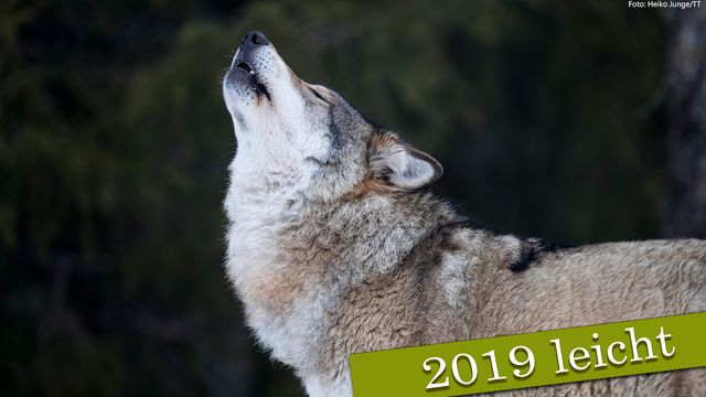 Nachrichten auf Deutsch Leicht : 2019-03-30