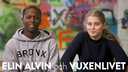 Elin, Alvin och vuxenlivet