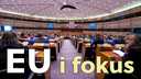 EU i fokus