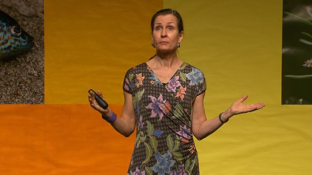 UR Samtiden - Flora- och faunavård 2019 : Främmande arter och naturvård