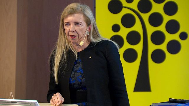 UR Samtiden - Svenska historikermötet : Kan djuphistorisk forskning utmana historien?