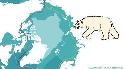 Arktis - en genväg?