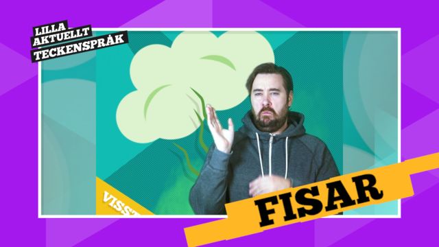 Vi förklarar! : Fisar