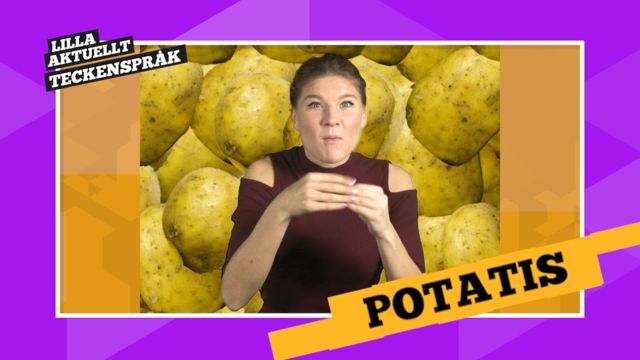 Vi förklarar! : Potatis
