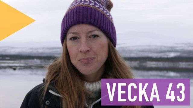 Lilla Aktuellt skola : 2019-10-25