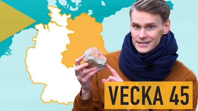 Lilla Aktuellt skola : 2019-11-08