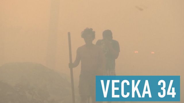 Lilla Aktuellt skola : 2019-08-23