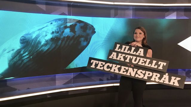 Lilla Aktuellt teckenspråk : 2019-11-15