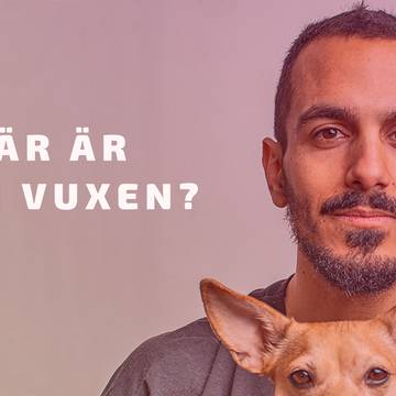dejting historier undervisning