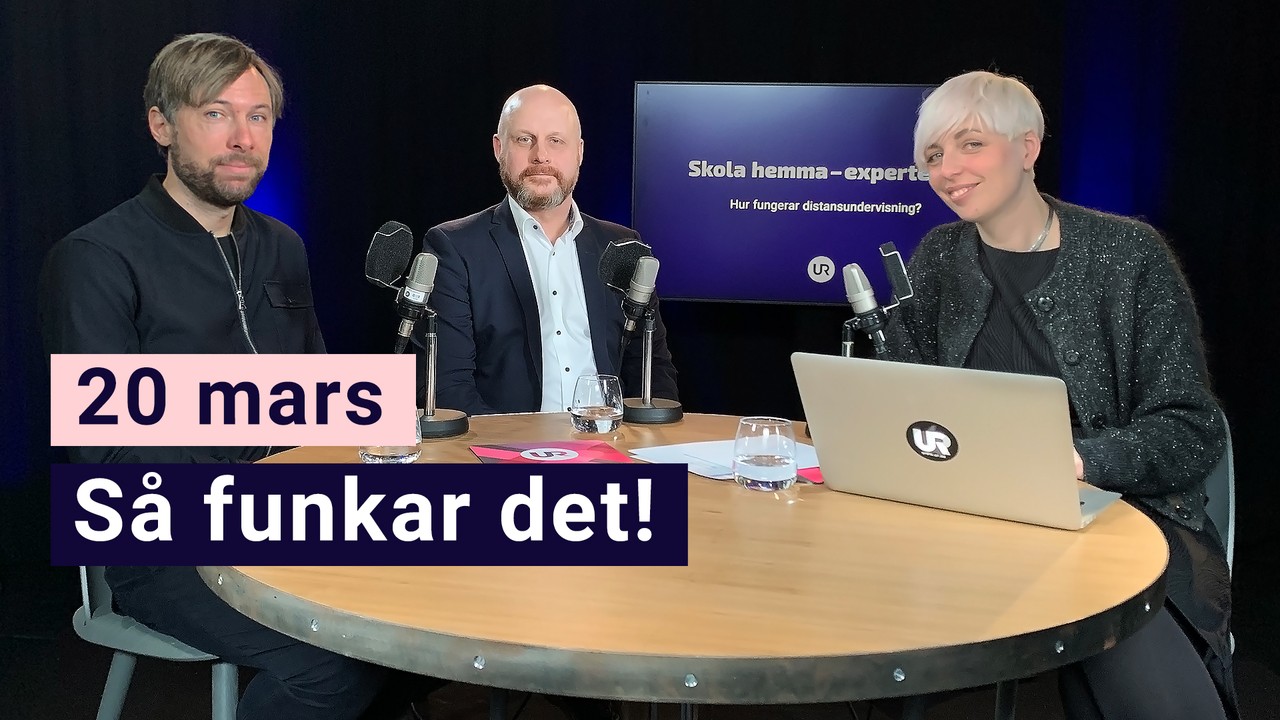 19 mars: Vad gäller nu?