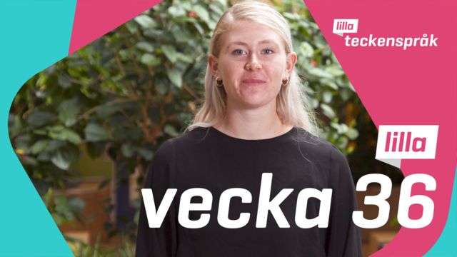 Lilla Aktuellt teckenspråk : 2020-09-04