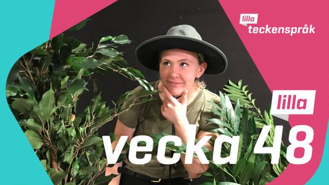 Lilla Aktuellt teckenspråk : 2020-11-27