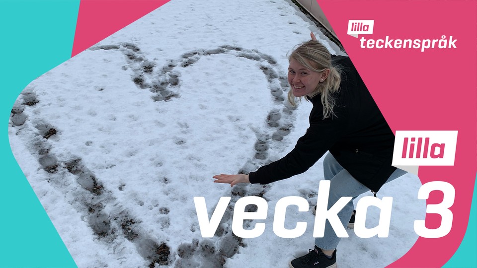 Programbild