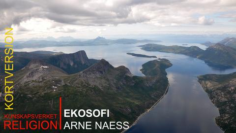 Ekosofi: Arne Naess