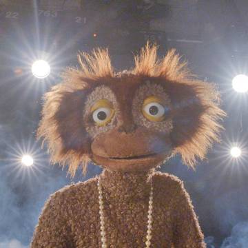 Wendy Whoopersning yalangoch surati