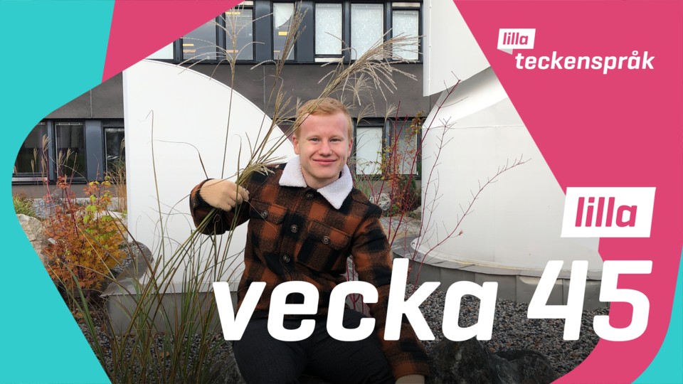 Programbild