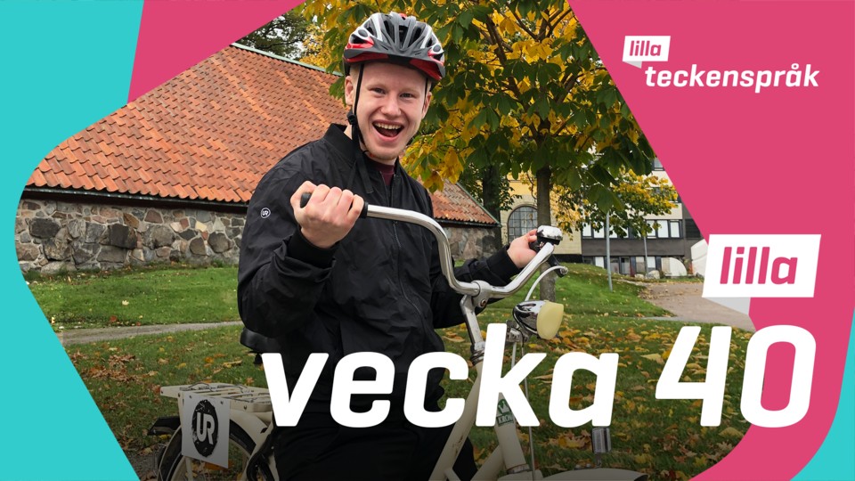 Programbild