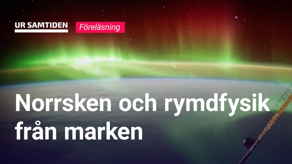 Programbild