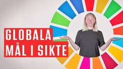 Globala mål i sikte - på svenskt teckenspråk
