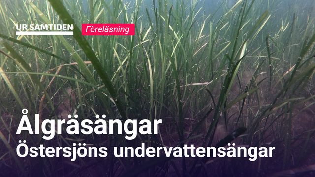 UR Samtiden - Naturum Ottenby och Trollskogen