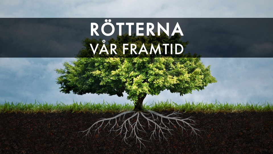 Programbild