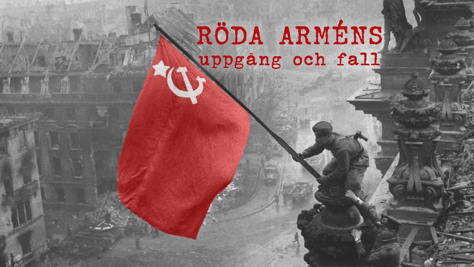 Mushukdagi chiroyli sochlarning fotosuratlari