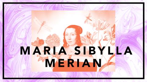 Maria Sibylla Merian – konstnär och ekologisk pionjär