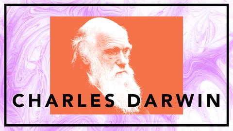 Charles Darwin – evolutionsteorin