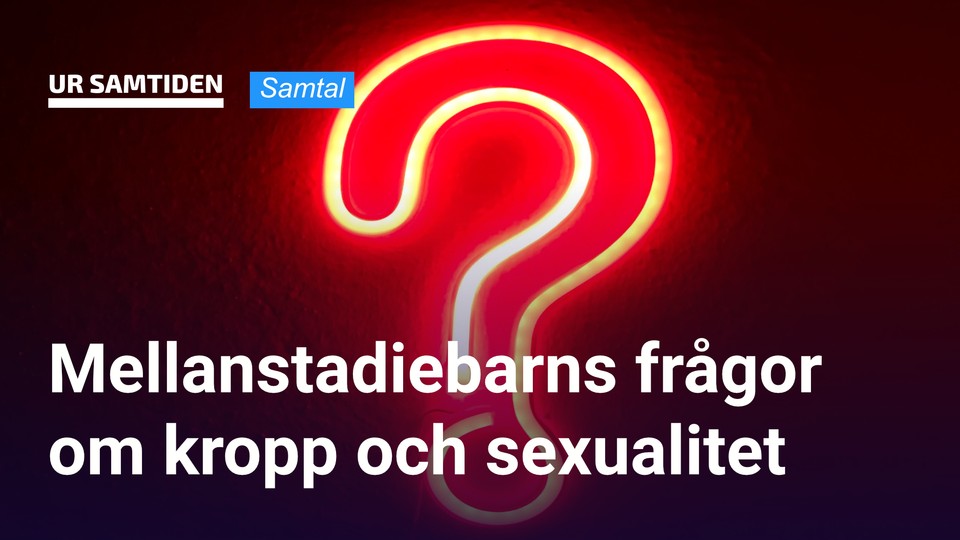 Programbild