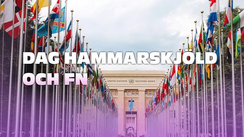 Dag Hammarskjöld och FN