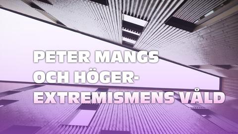 Peter Mangs och högerextremismens våld