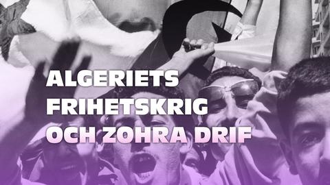 Algeriets frihetskrig och Zohra Drif
