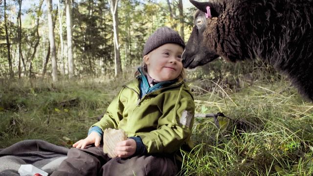 Bild ur Fåret Emilia